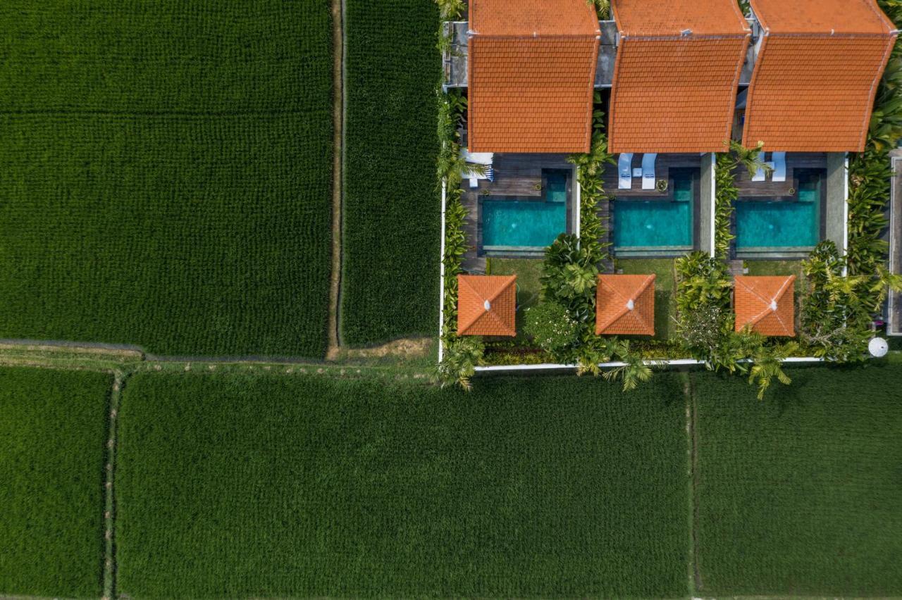 Sawah Villas Ubud Kültér fotó